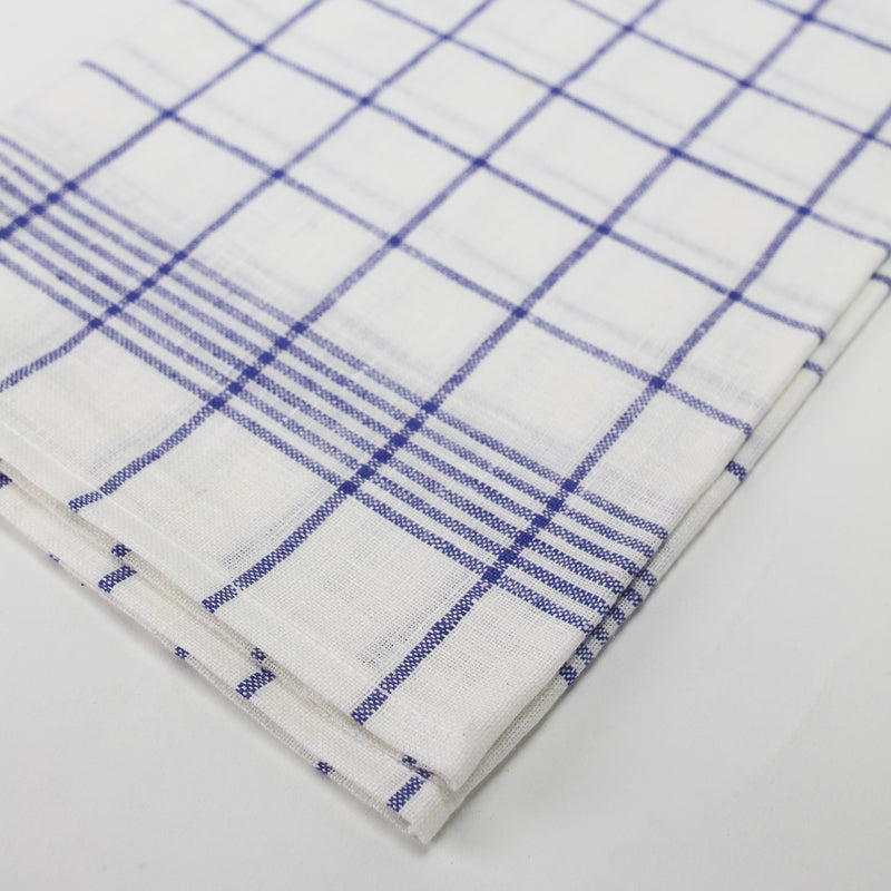 Blue Check Dish Towel