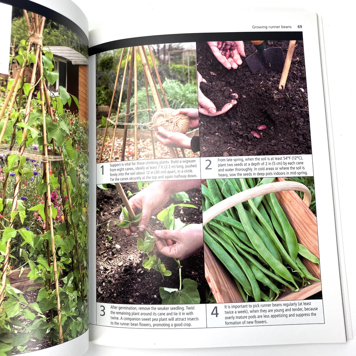 Vegetable Gardening Simple Steps To Success