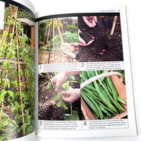 Vegetable Gardening Simple Steps To Success