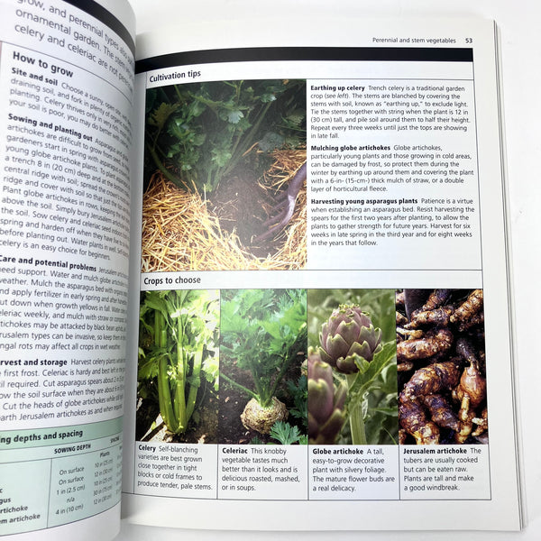 Vegetable Gardening Simple Steps To Success