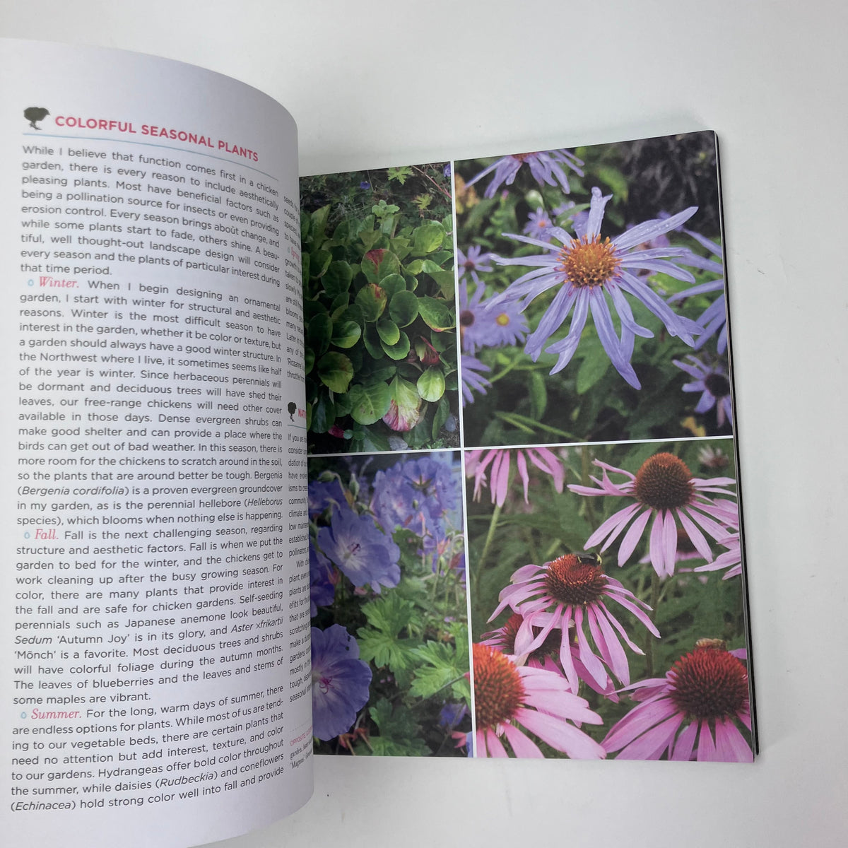 Free-Range Chicken Gardens: How to Create a Beautiful, Chicken-Friendly Yard