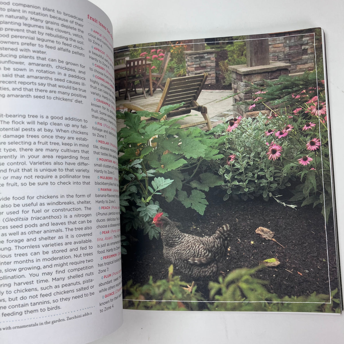 Free-Range Chicken Gardens: How to Create a Beautiful, Chicken-Friendly Yard