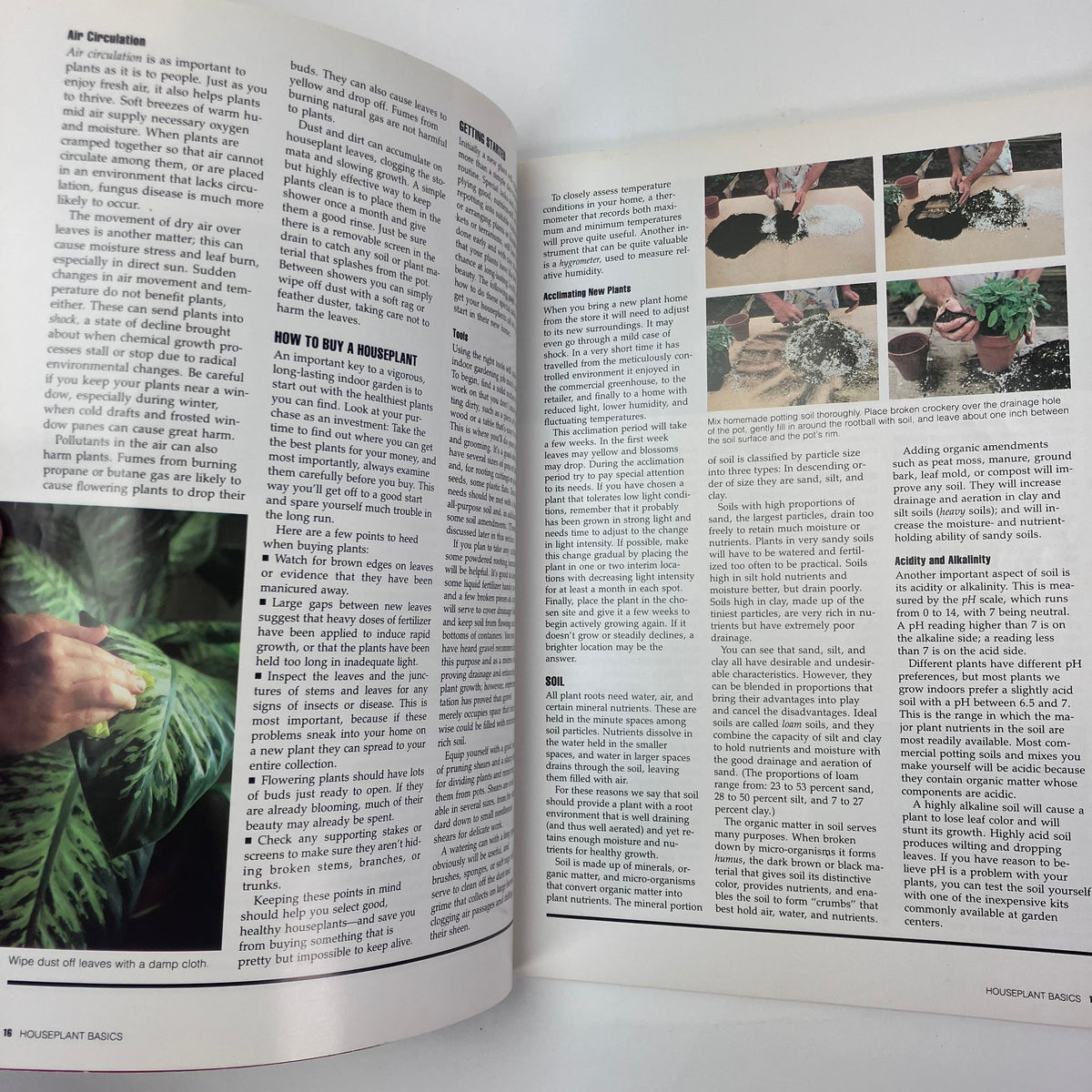 All About Houseplants