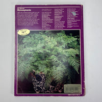 All About Houseplants