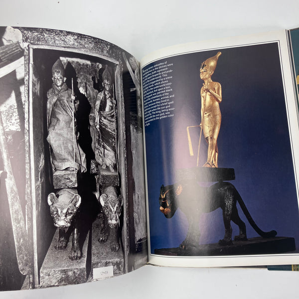 Tutankhamun: His Tomb and Its Treasures